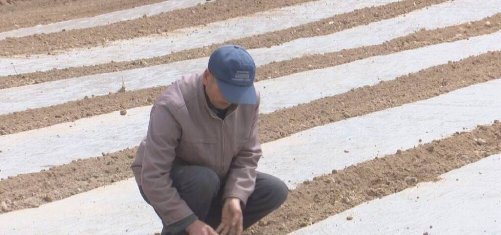 技术人员深入田间地头　华亭上演春日“膜”法