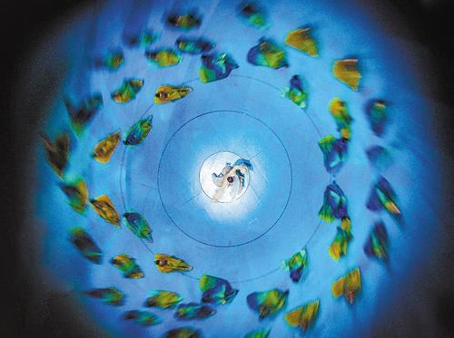 舞蹈诗剧《只此青绿》往期演出剧照。河北省艺术中心供图