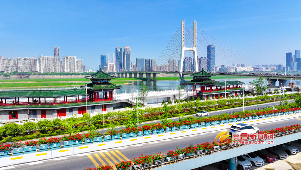 一路繁花！南昌空中花廊美景升级（图）