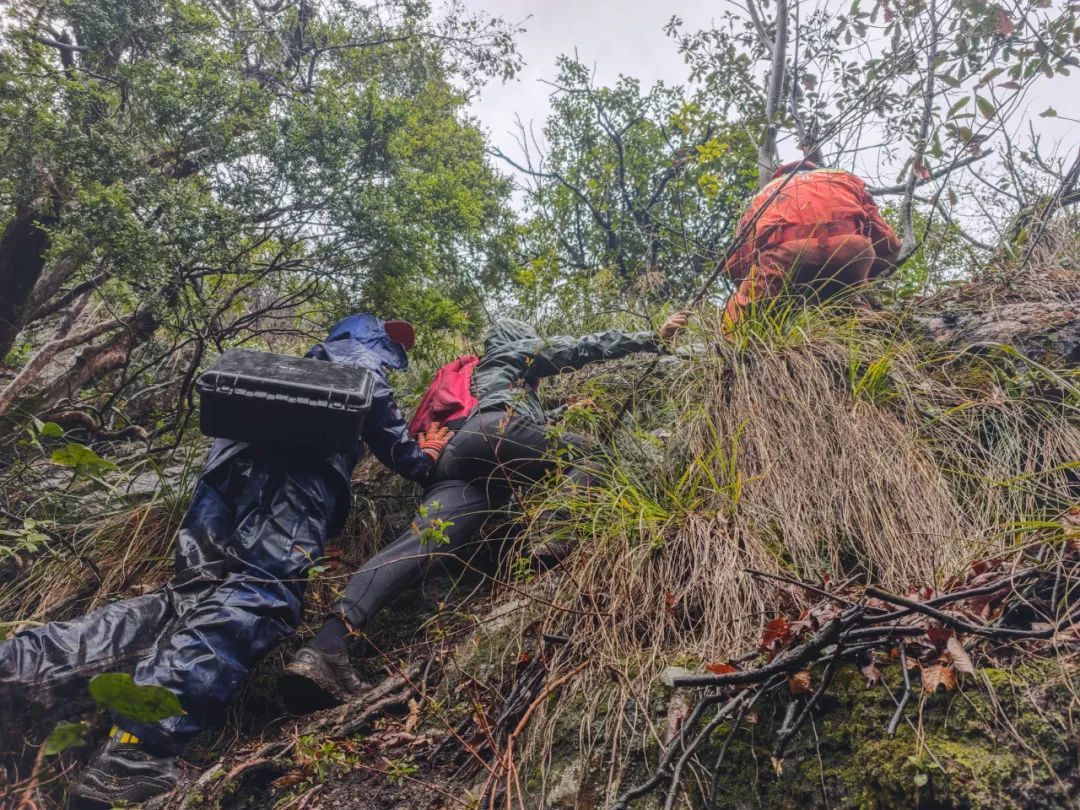 救援人员营救被困“驴友”