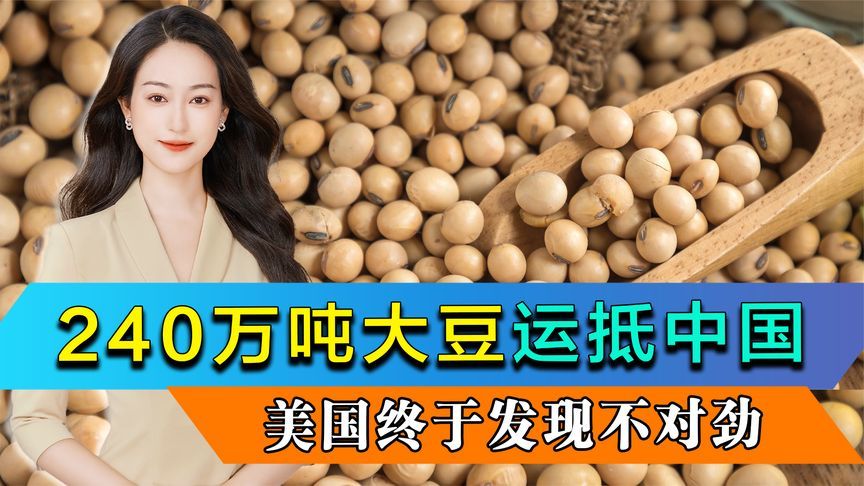 240万吨大豆运抵中国，美国终于发现不对劲，中方这一次有备而来