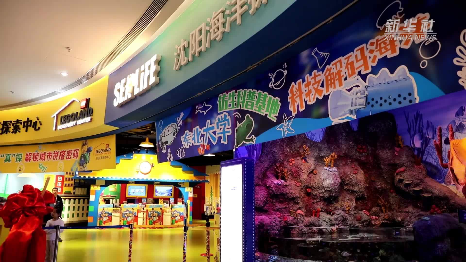 仿生机械乌龟“入职”海洋馆 带你沉浸式体验科技与海洋