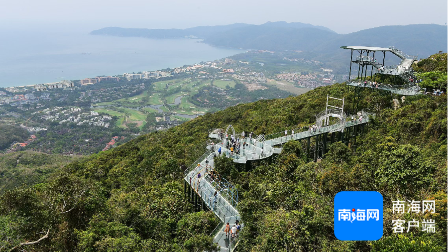 4月4日，中外游客在三亚亚龙湾热带天堂森林旅游区踏青游玩。通讯员 黄庆优 摄