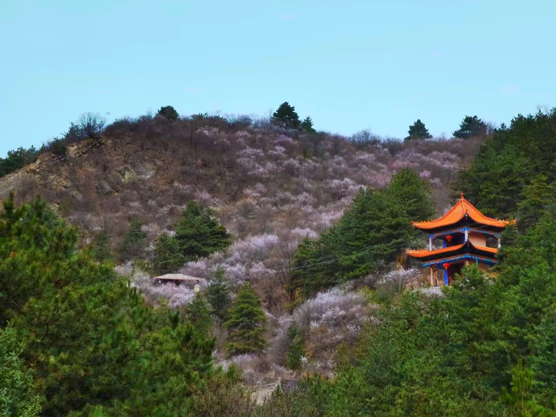 汉服巡游围炉煮茶民俗美食……华亭桃花Party等你赴约