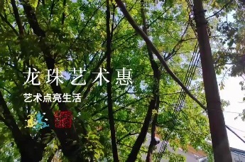 让艺术走进生活！看西乡龙珠社区如何“惠”及千家万户