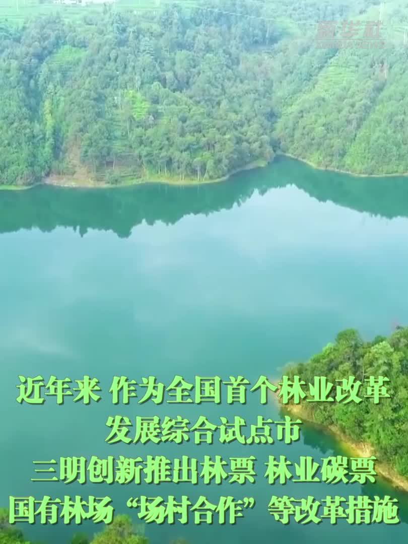 福建三明：山林披绿 林农得利