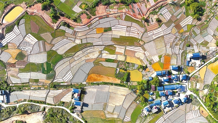 信丰县：春耕图景美如画（图）