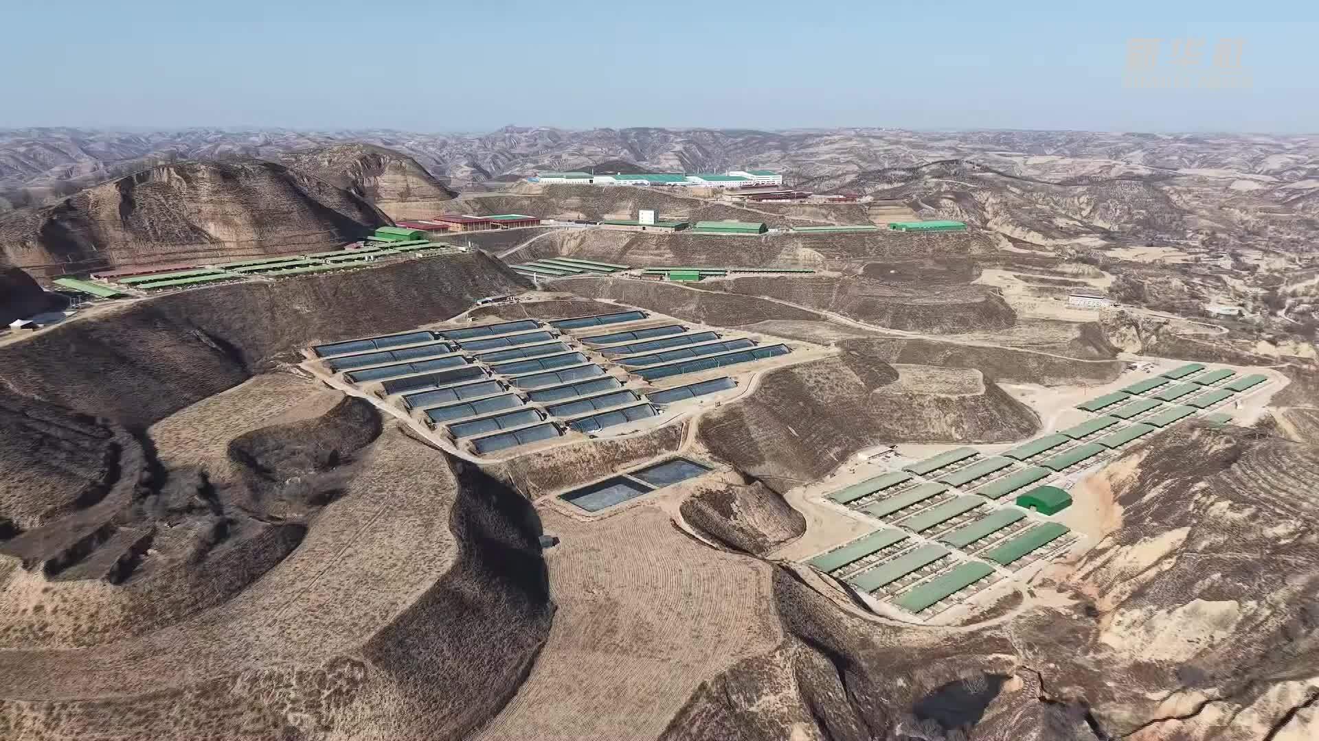 陕西榆林：“软黄金”织出发展新图景