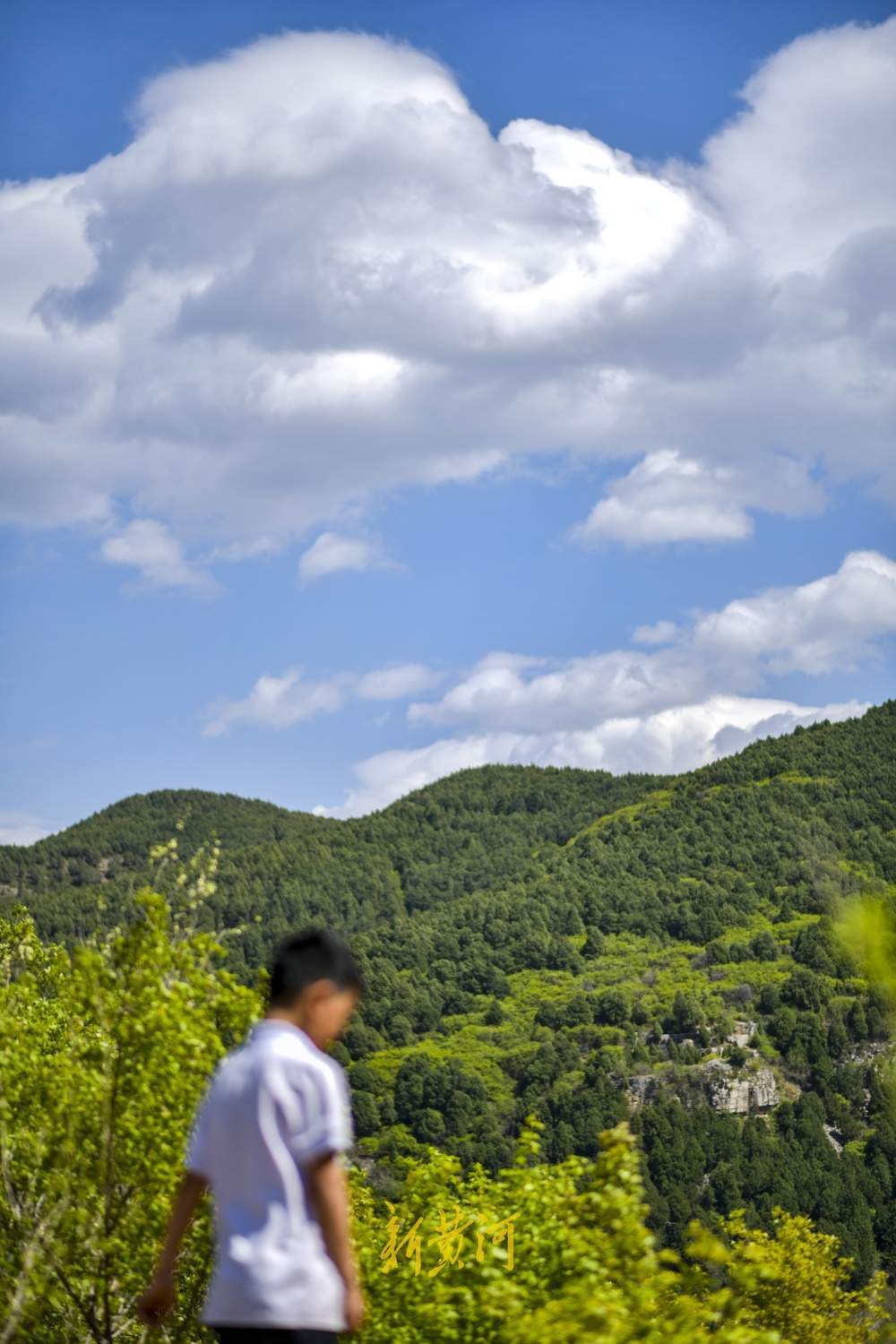 悬崖峭壁春满山！来济南八景之首锦屏春晓看别样春景