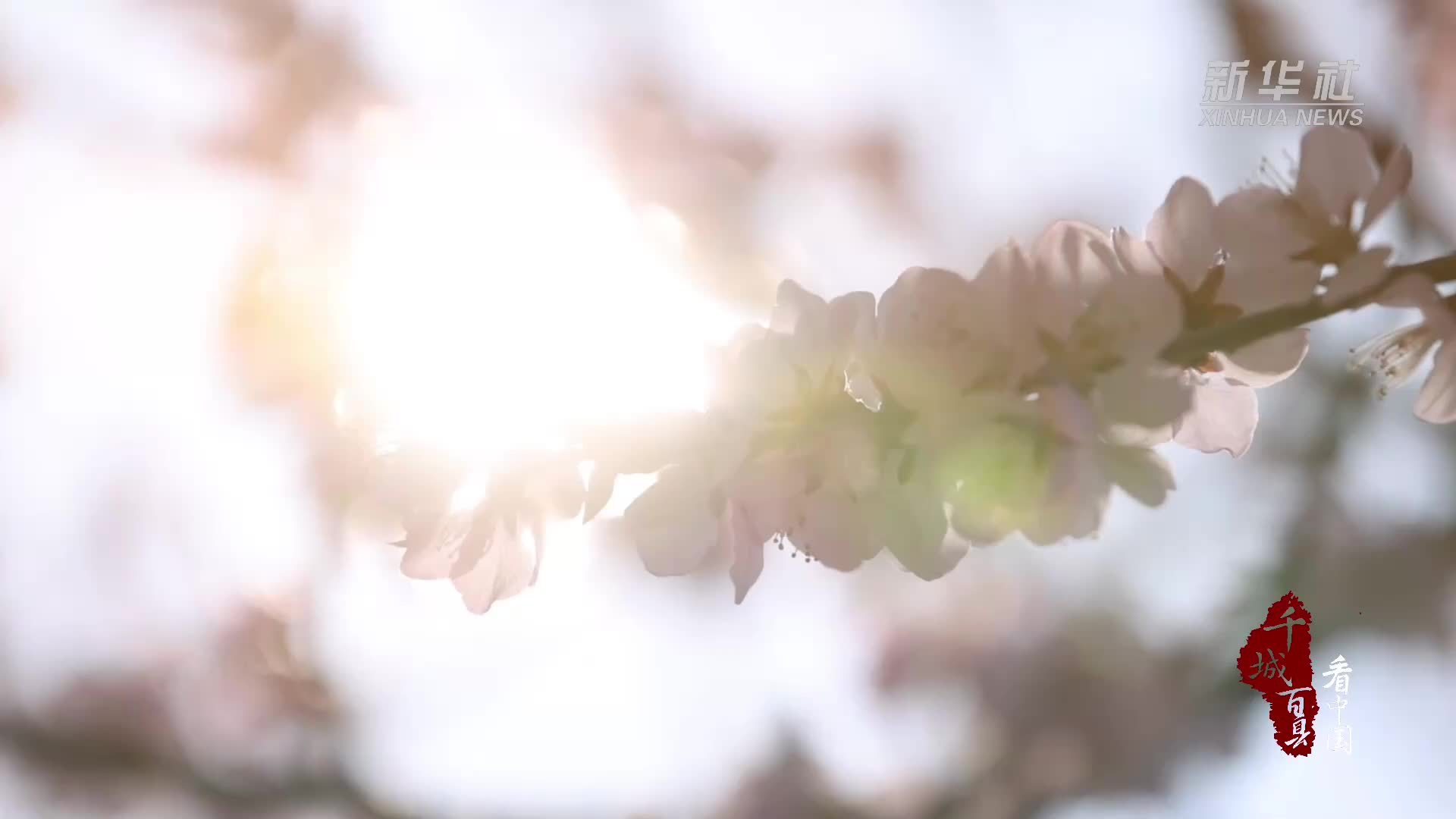 千城百县看中国｜吉林：春满集安