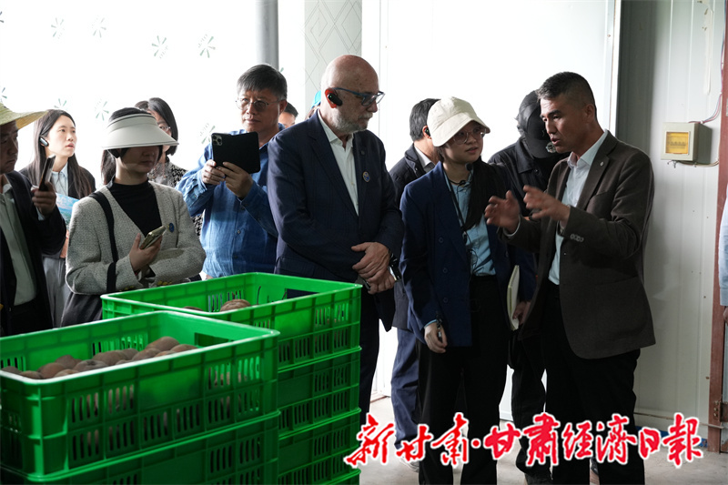 兰州什川古梨园申遗ing　联合国专家组实地评估支招