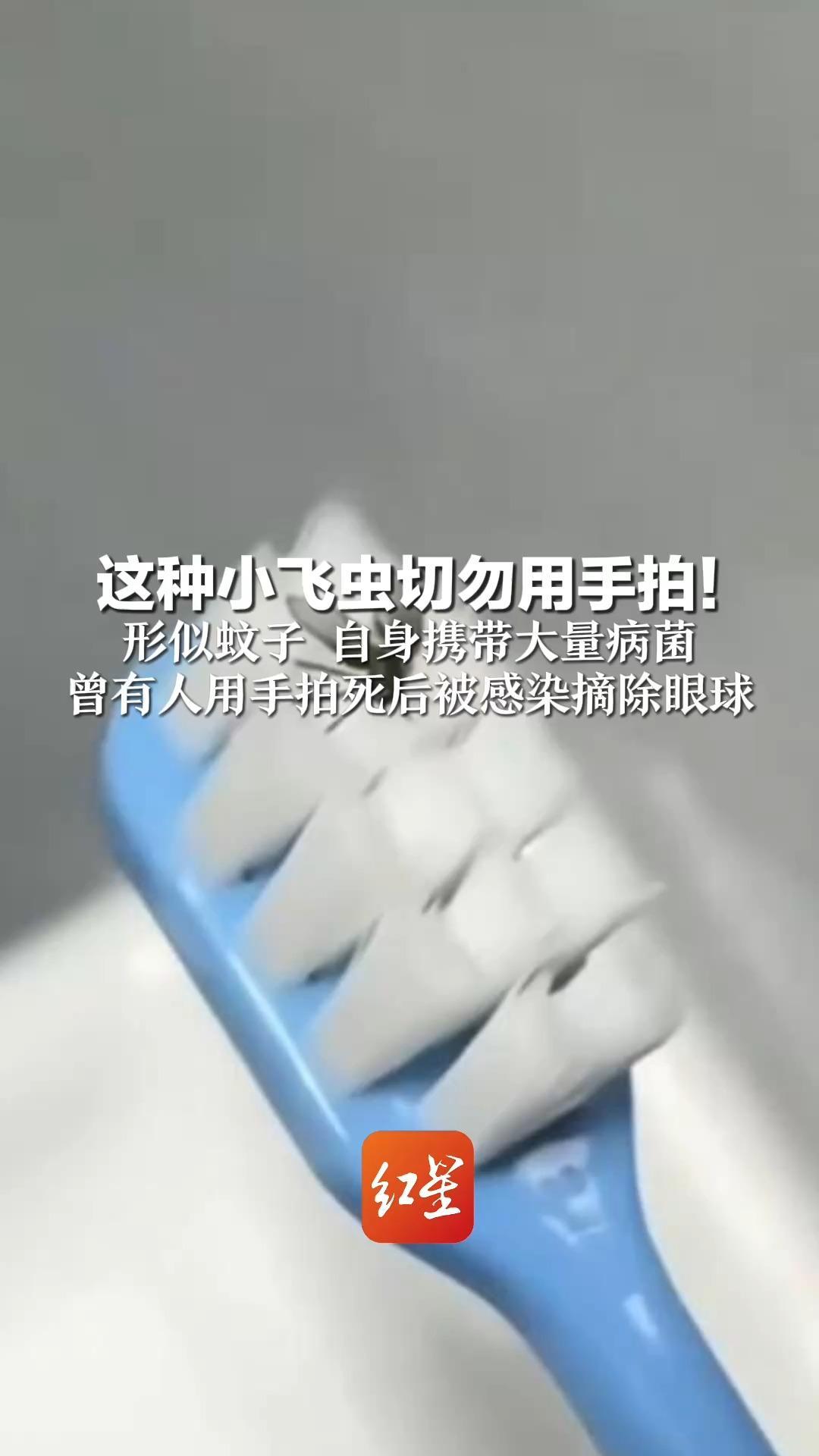 这种小飞虫切勿用手拍！形似蚊子 自身携带大量病菌 曾有人用手拍死后被感染摘除眼球