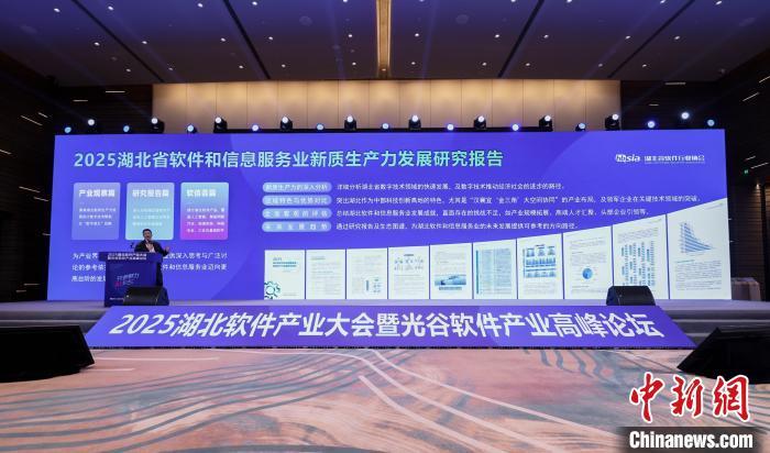 报告称：湖威廉希尔平台北省软件产业规模居中部第一(图1)