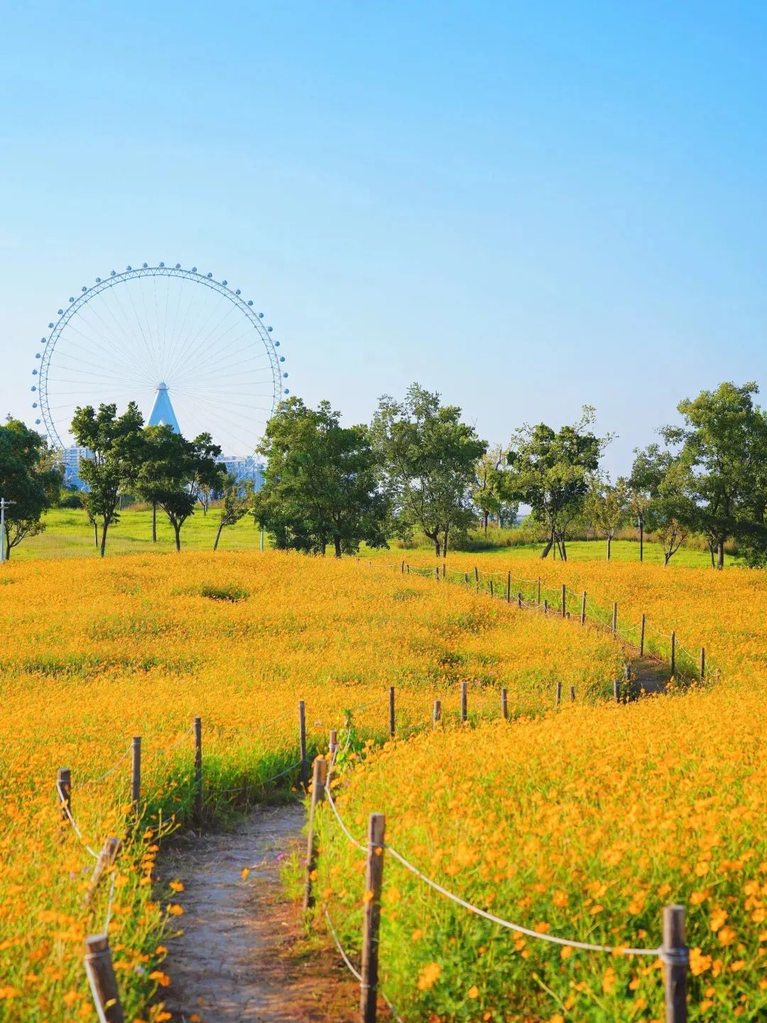 2025肥西紫蓬山半程马拉松开赛