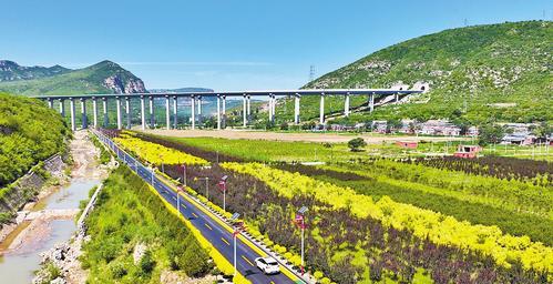 2024年6月11日，车辆行驶在荣获全国“十大最美农村路”称号的邢台市信都区抗大路上。（本报资料片） 本报记者 赵永辉摄