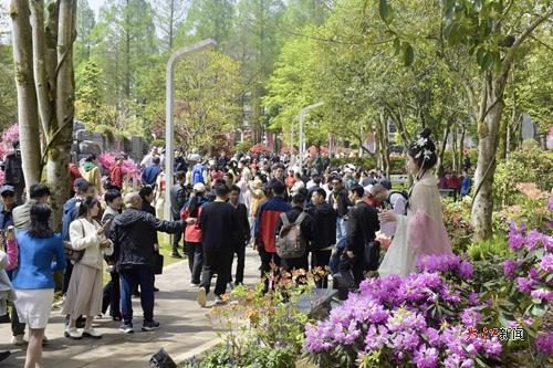 挹翠湖公园内游人如织