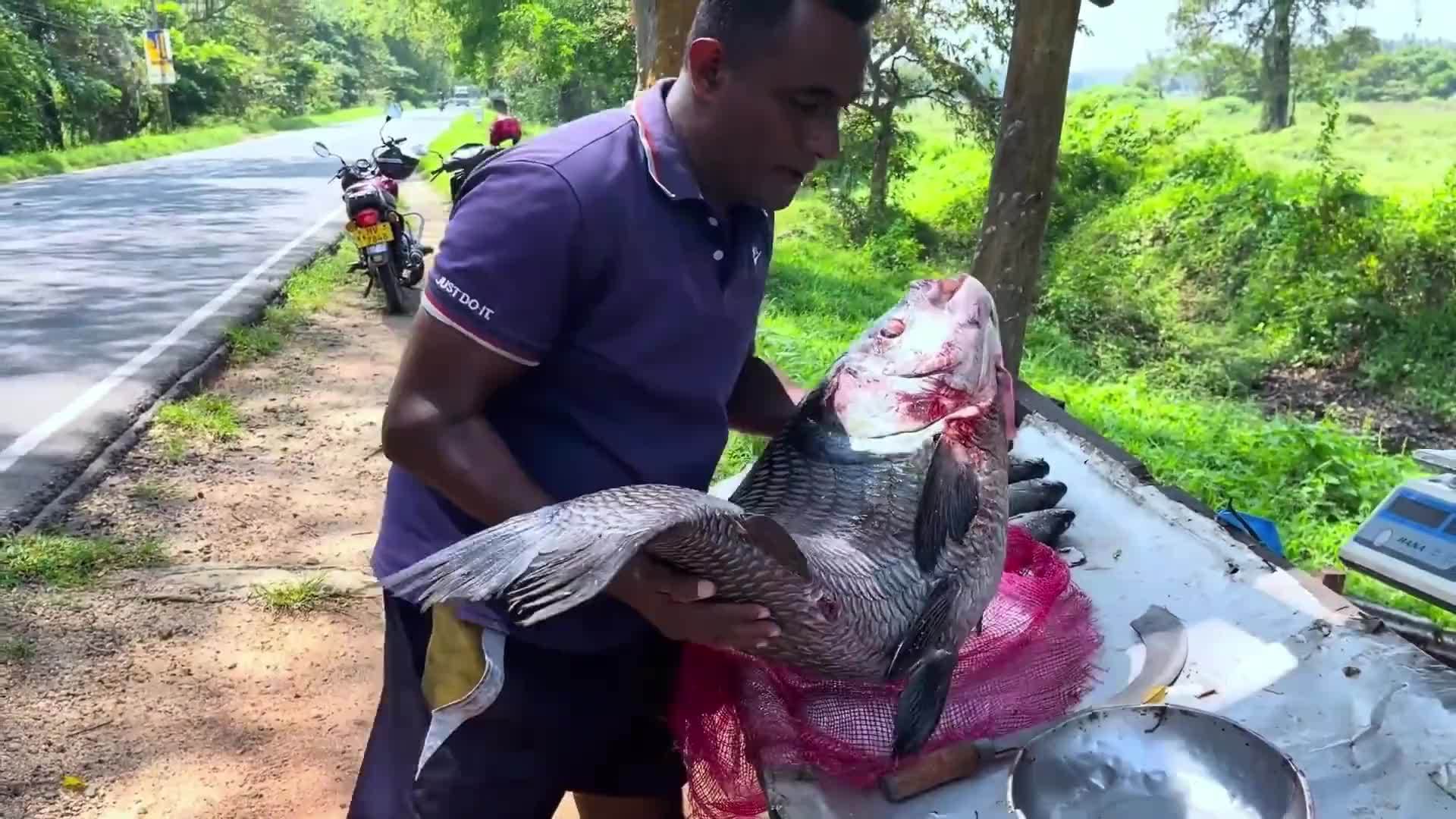 见识一下，外国的鱼贩子杀一条五十多斤淡水大鱼，方式独特鱼籽多