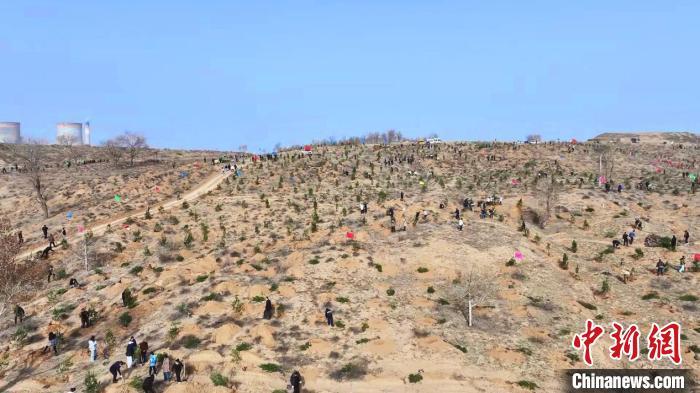 榆林市植树现场。陕西省林业局供图
