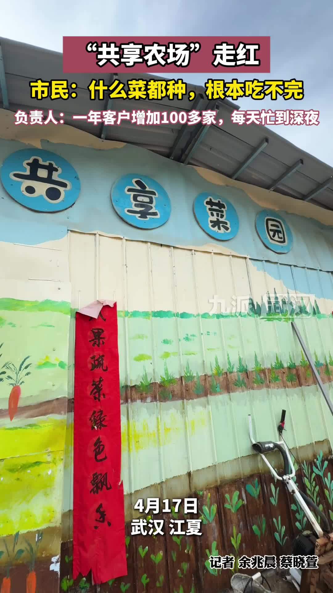 “共享农场”走红，市民：根本吃不完，负责人：一年客户增加100多家，每天忙到深夜
