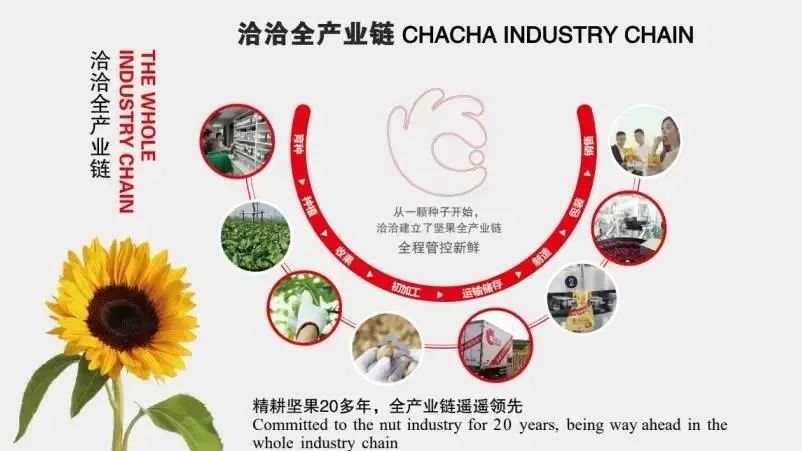 洽洽食品再获殊荣：唯一入选首批中国消费名品的坚果品牌