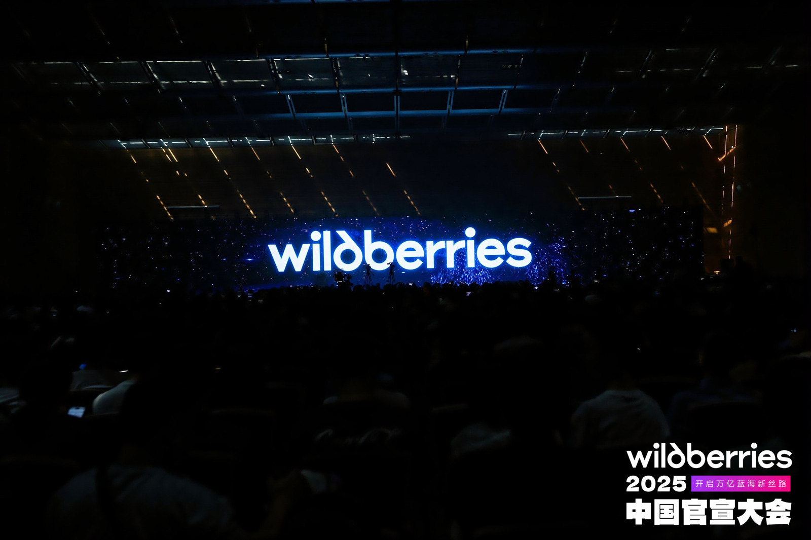 野莓Wildberries2025官宣大会圆满落幕 “星辰计划”正式启动!