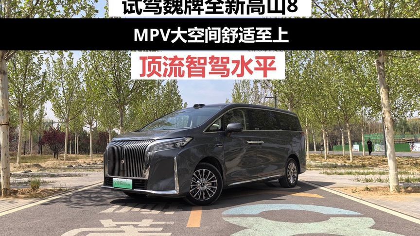 MPV市面上越来越多了，而且多是豪华高水平的对手，那该怎么选呢