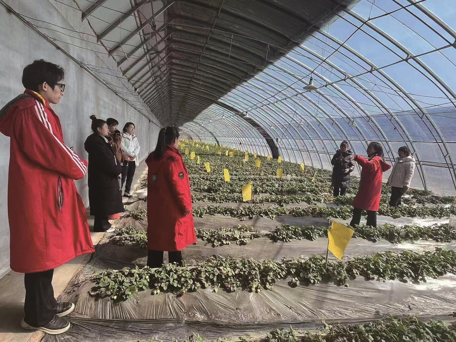 参加吉林省科技赋能特色农业高质量发展交流会的与会人员前往荣发农业观光园的温室大棚参观游览。