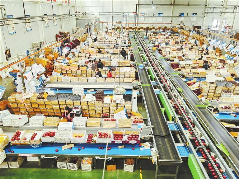 雪原公司生产加工车间　本版图片除署名外均由新甘肃·甘肃日报记者王朝霞摄