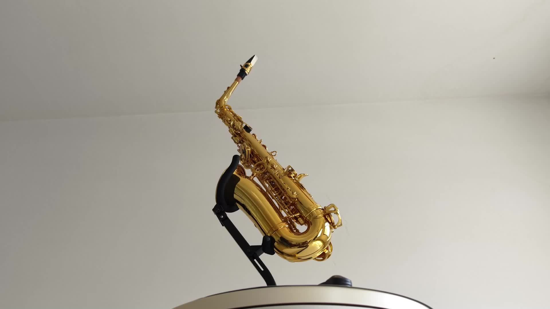 千城百县看中国｜河北大城：小乐器奏响乡村振兴“美丽和弦”