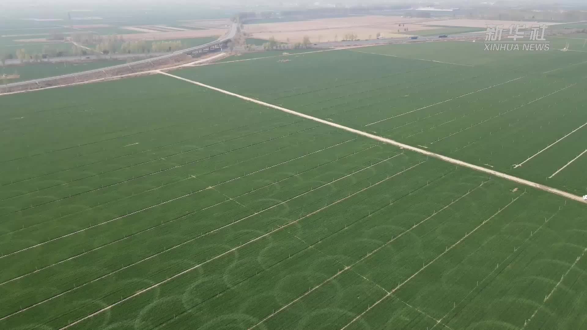 河北衡水：“科技+绿色”助力高效春灌