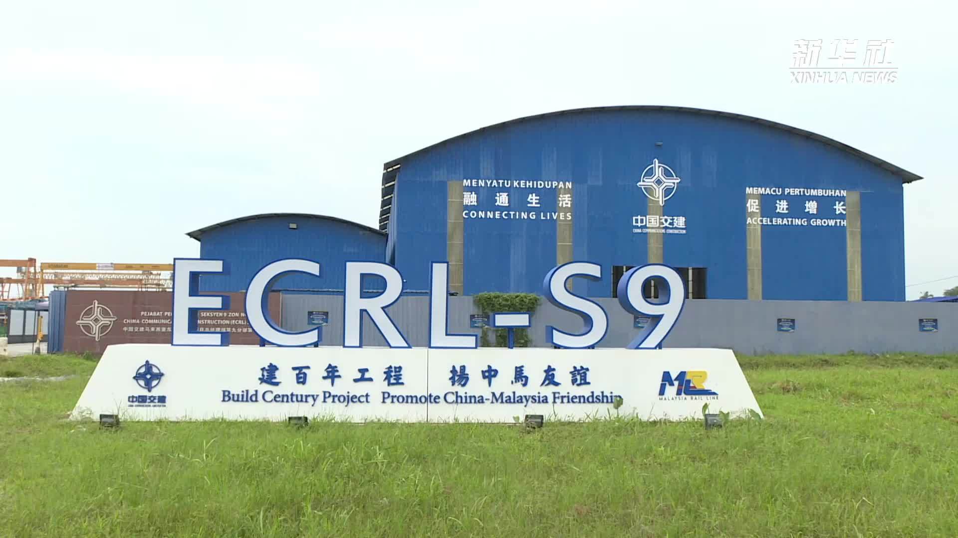 马东铁：一段穿越雨林的“绿色脊梁”