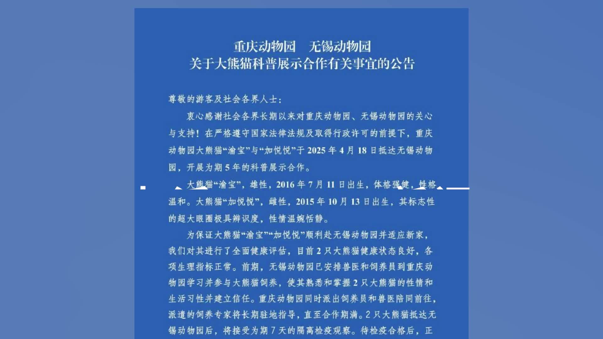 重庆动物园公告：大熊猫渝宝和加悦悦抵达无锡动物园，开展为期5年的科普展示合作