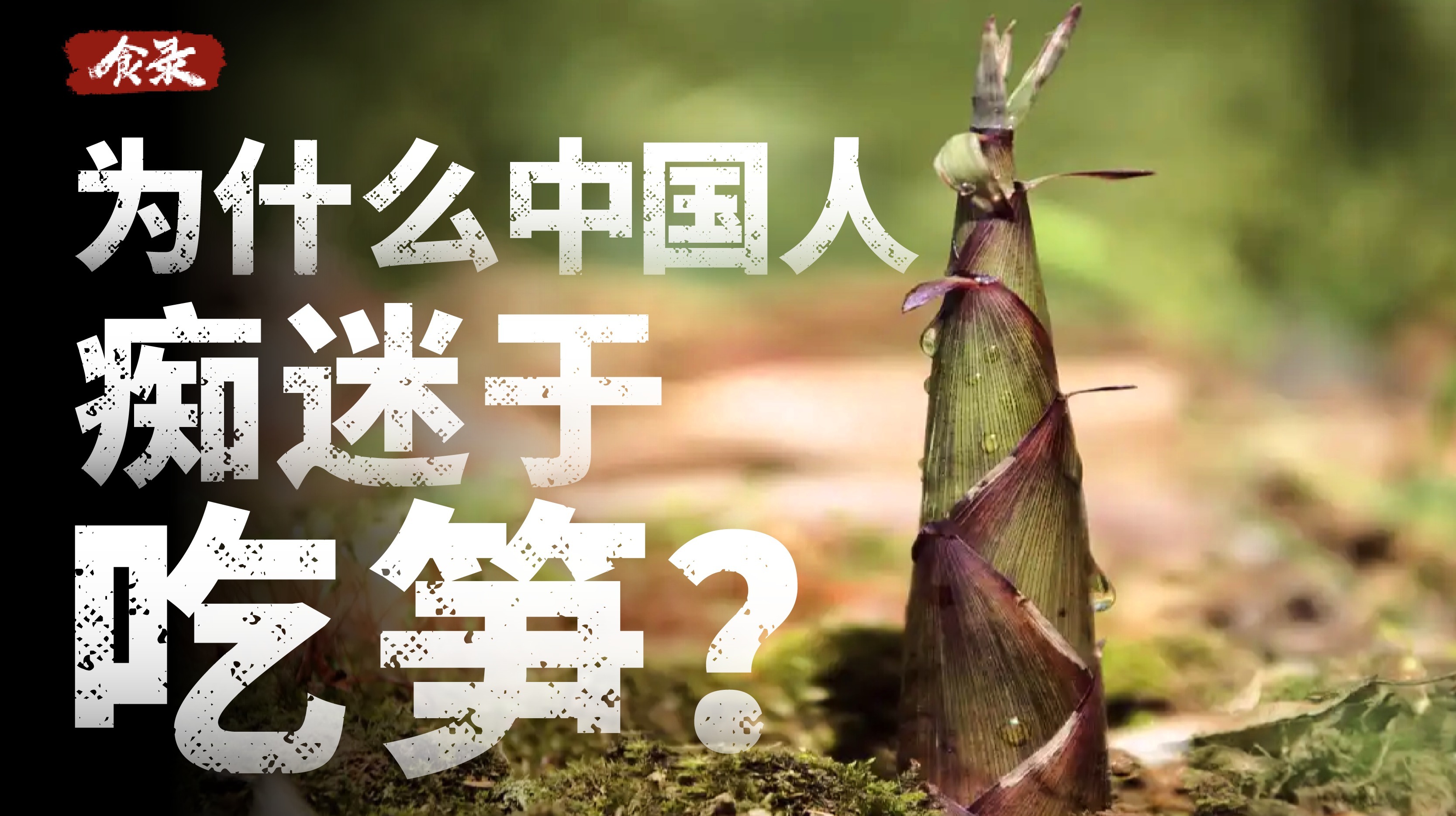 为什么除了中国，很少有国家吃笋呢？