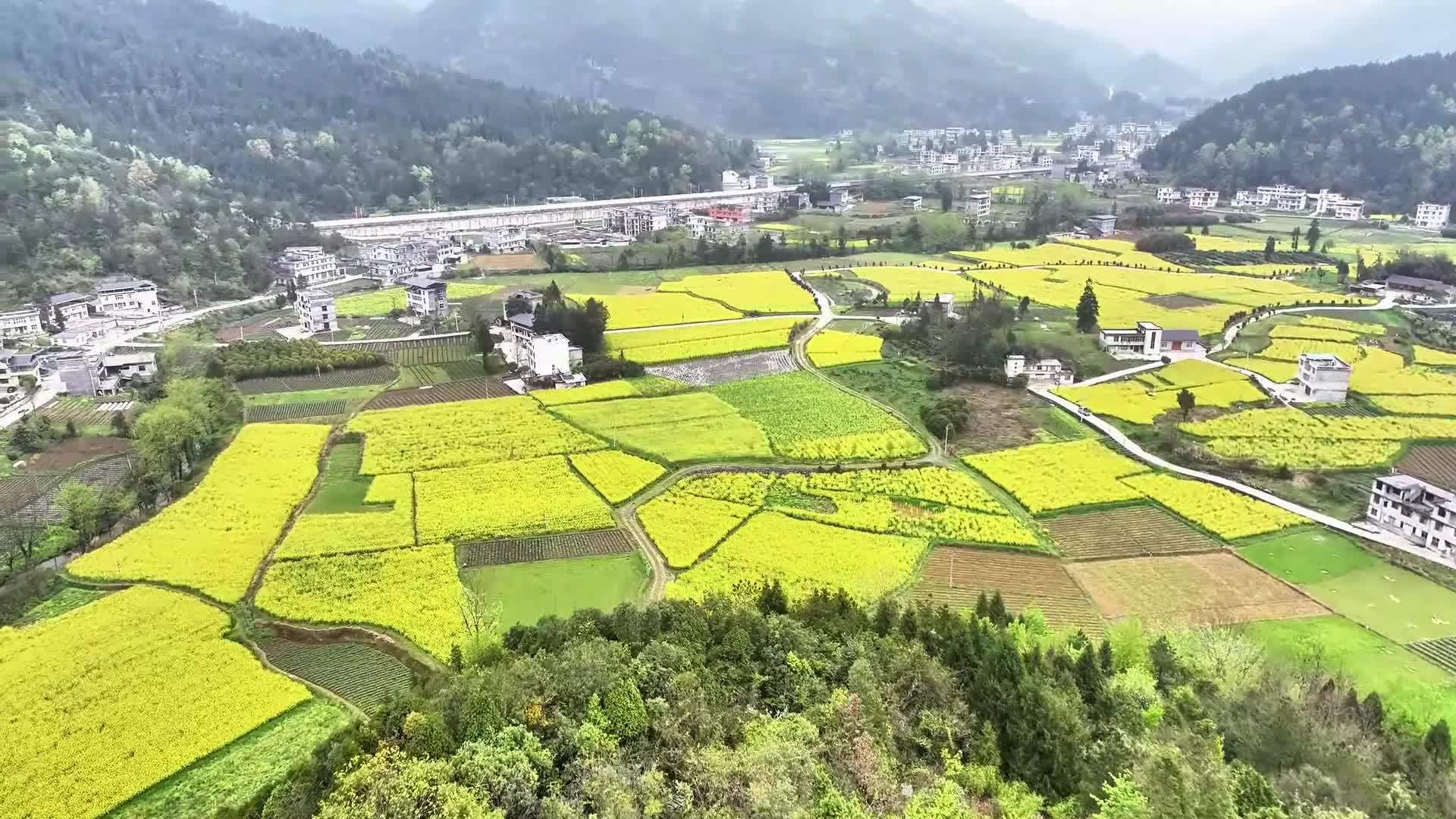 千城百县看中国｜湖北咸丰：武陵春韵正浓