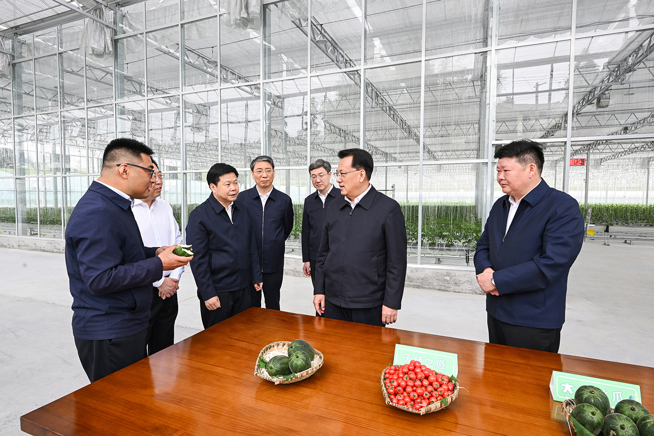 4月16日，在南川大观现代农业示范基地，市委书记袁家军详细了解农业产业发展情况。记者 苏思 摄