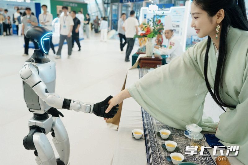 在大赛的职业技能嘉年华展示区，人型机器人深受欢迎。