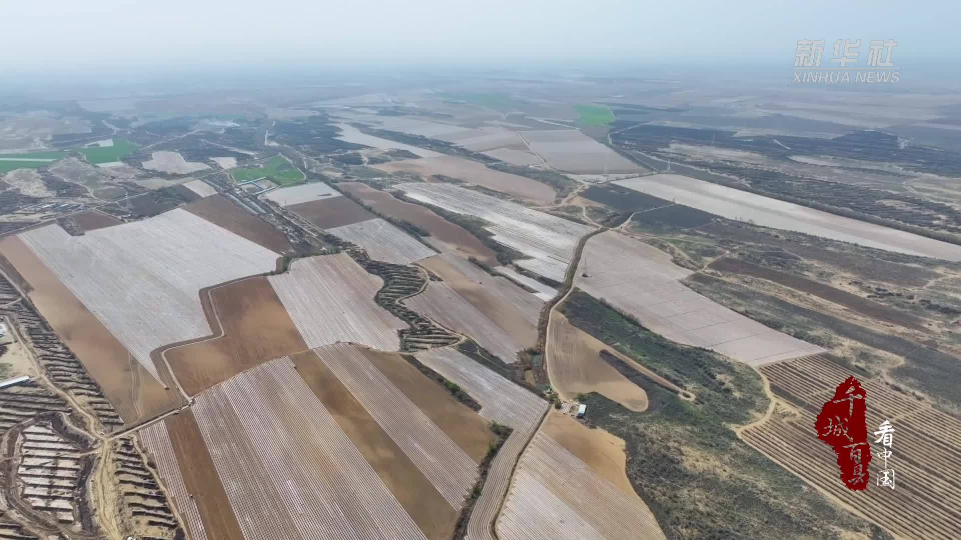 千城百县看中国｜新疆昌吉：220万亩棉花开播