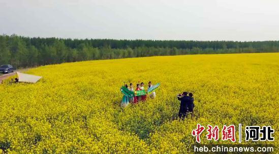 图为航拍群众在油菜花海打卡拍照。 靳东凯 摄