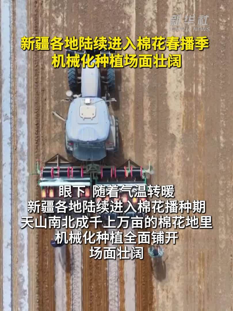 新疆各地陆续进入棉花春播季 机械化种植场面壮阔