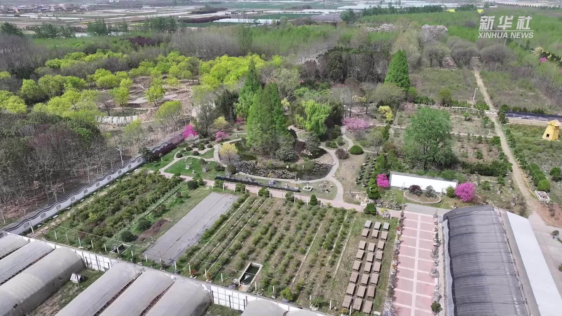 来这里，看百花齐放春满园