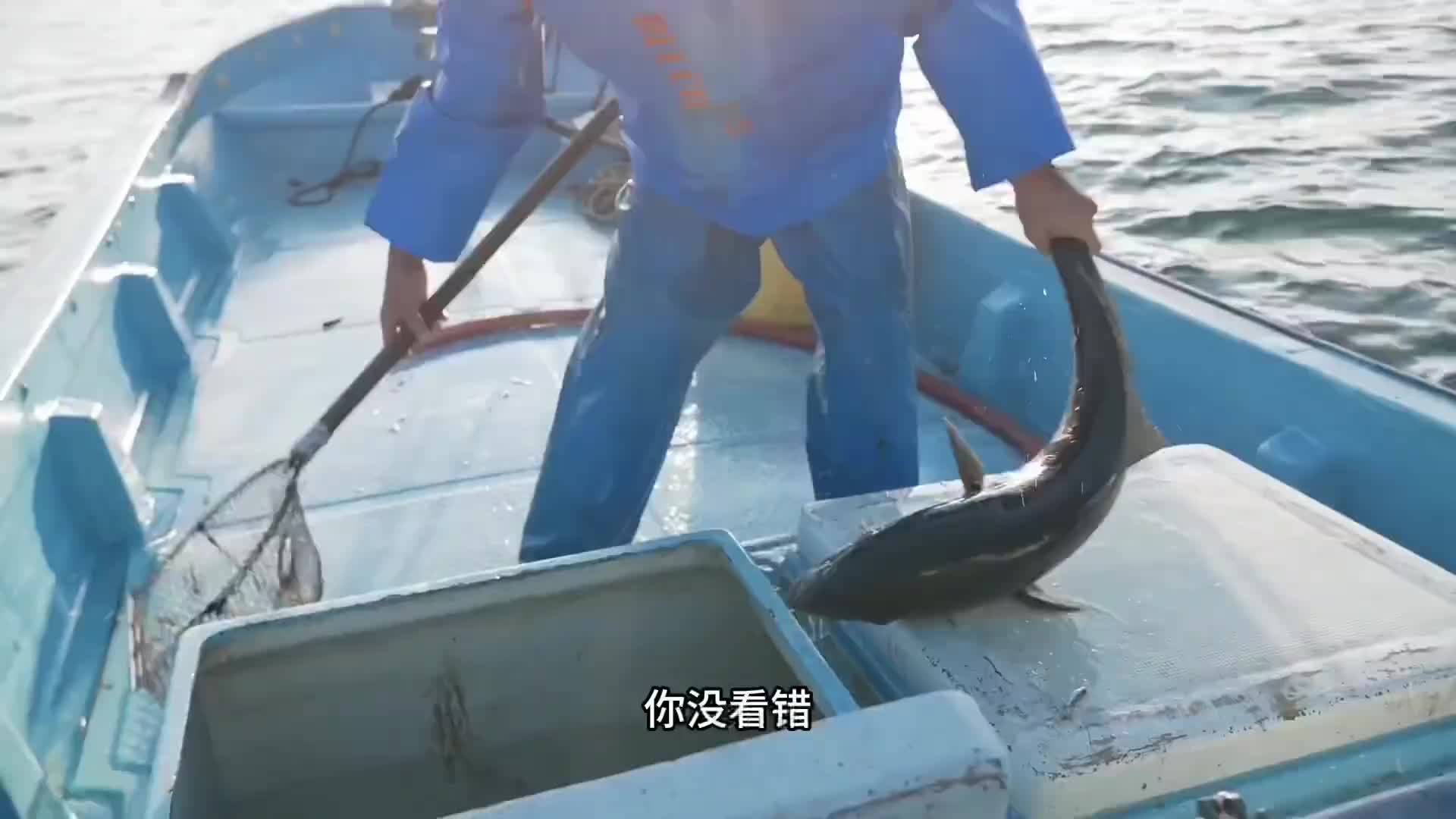 这是我吃过最美味的一次鱼，刚在海里钓上来就直接开吃，太鲜美