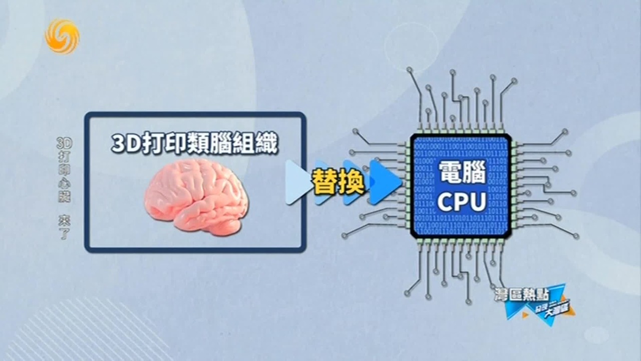 3D打印的类脑生物计算机，未来将颠覆传统硅基AI？