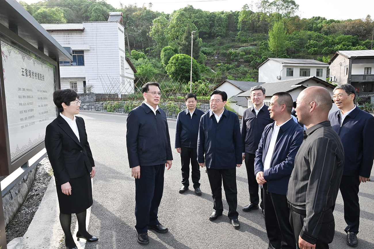 4月16日，市委书记袁家军在万盛南桐镇王家坝村调研。记者 苏思 摄