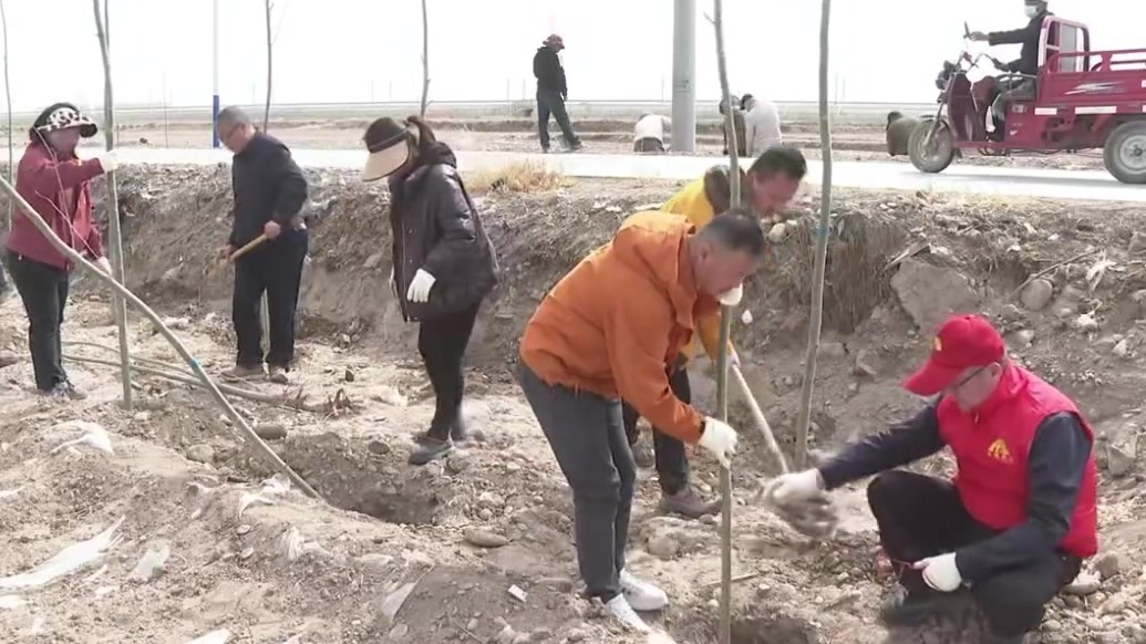 【视频】张掖：义务植树添新绿　共绘生态新画卷