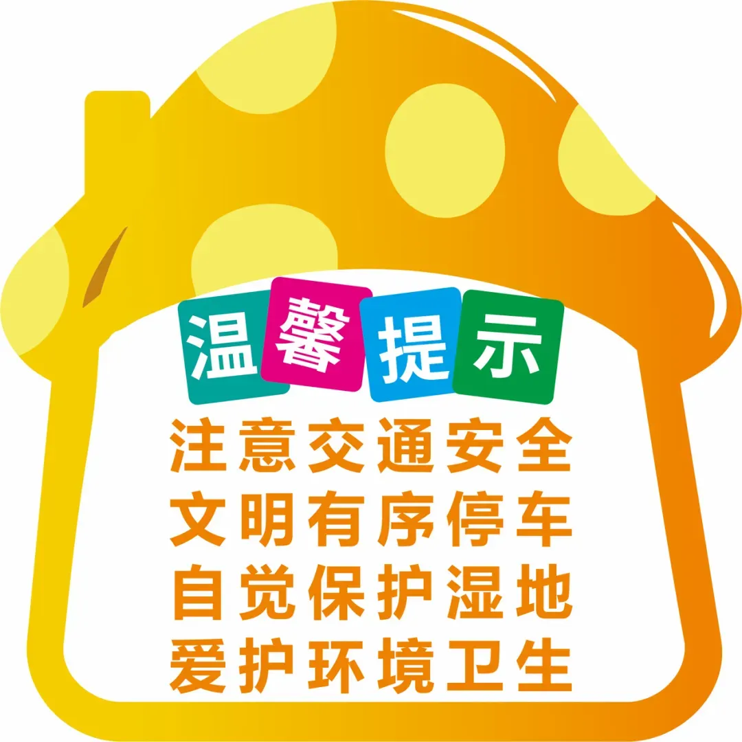 鄱湖花海进入最佳观赏期 赏花攻略请收好