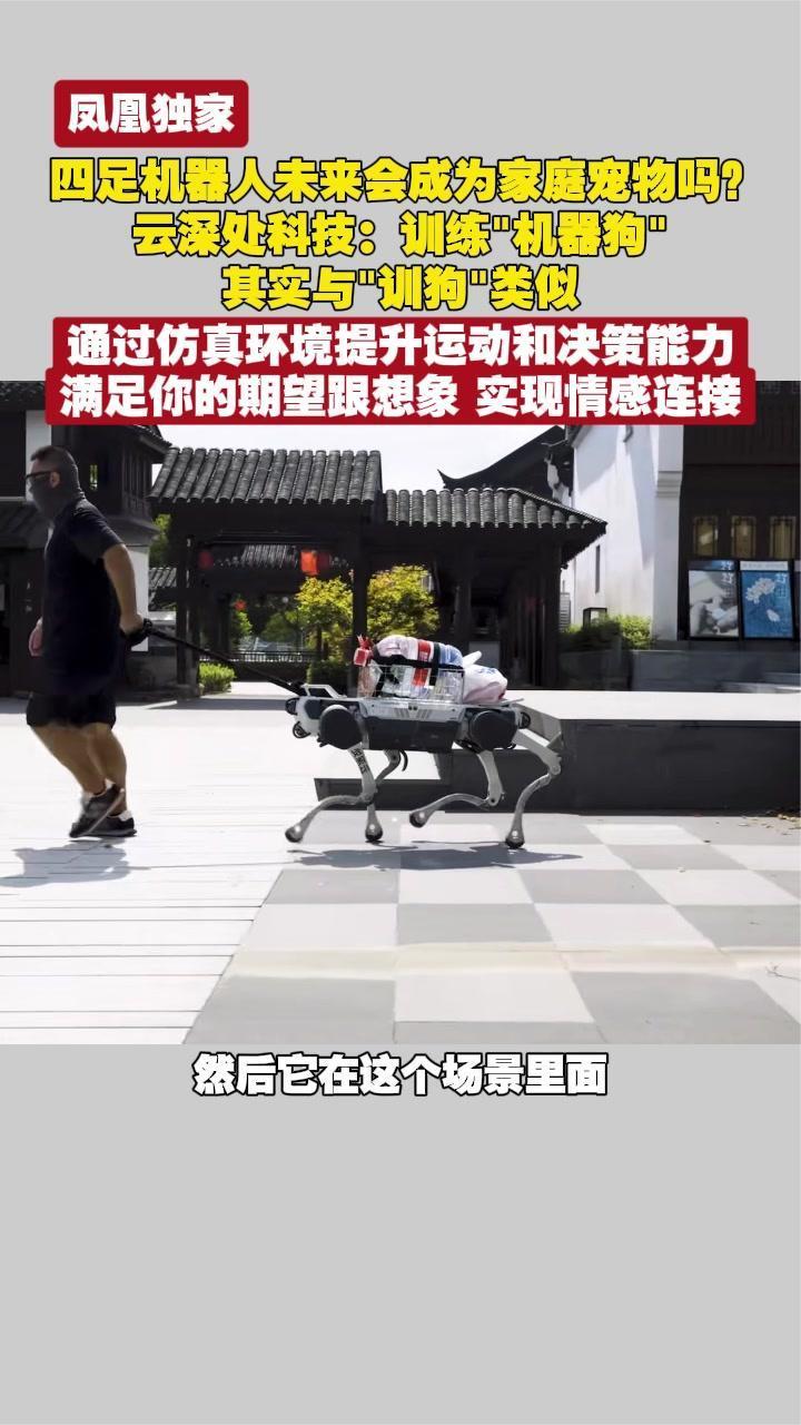 四足机器人未来会成家庭宠物吗？云深处科技：训练机器狗与训狗类似