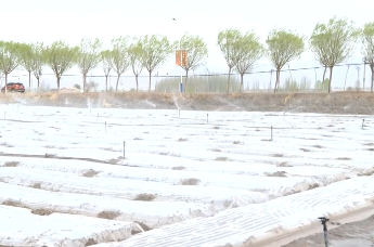 对农田大水漫灌Say No 细“节”控张掖甘州“项”前冲凤凰网甘肃_凤凰网