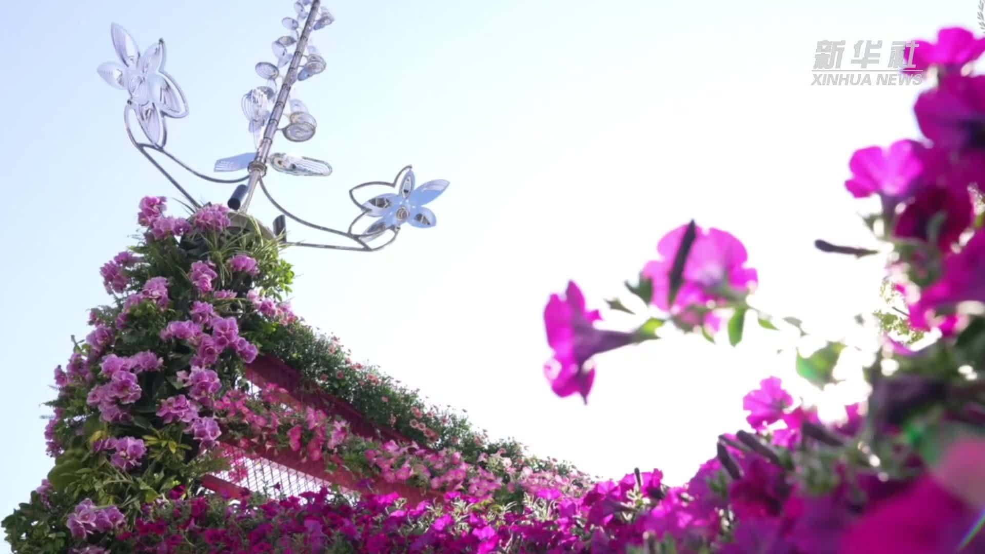 沪上繁花盛宴 文商旅融合助力“鲜花经济”美丽绽放