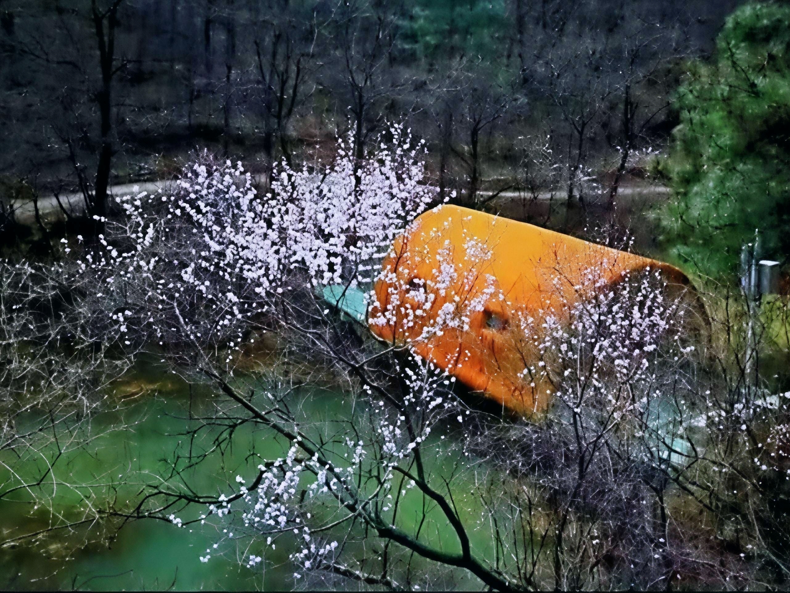 汉服巡游围炉煮茶民俗美食……华亭桃花Party等你赴约