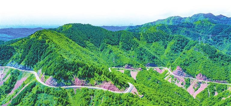 陇山　本版图片均为资料图